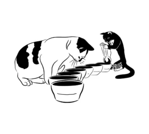 cupping cats sprudge thomas putman