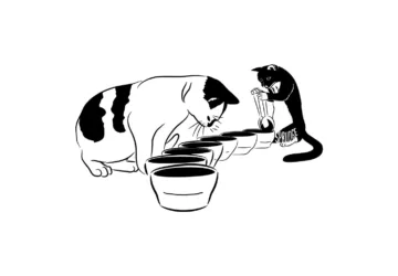 cupping cats sprudge thomas putman