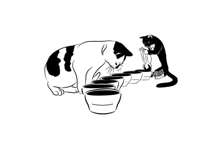 cupping cats sprudge thomas putman