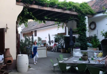natural wine gut oggau heuriger michael butterworth 9