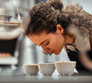 q grader cupping coffee