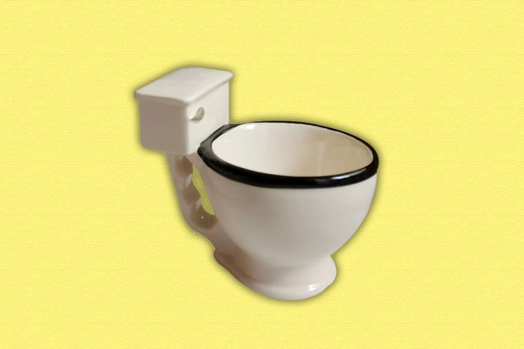 toilet mug